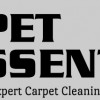 Carpet Essentials