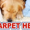 Carpet Hero