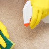 Complete Carpet Care