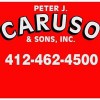 Peter J Caruso & Sons