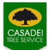 Casadei Tree Service