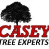 Casey Tree Experts