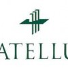 Catellus