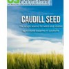 Caudill Seed