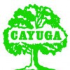 Cayuga Tree Service