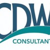 Cdw Consultants