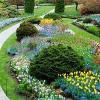 Cedar Green Lawncare