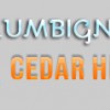 Cedar Hill Plumbing Repair