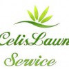 Celis Lawn Service