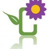 Central Square Florist