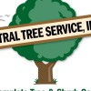 Central Tree Service