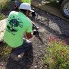Certified Tree Care