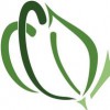 CFD Center Of Floral Design