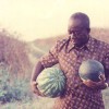Center For Family Farm Dev