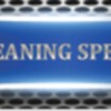 Champion Cleaning Specialists