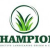 Champion Lawn Care