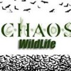 Chaos Wildlife/Animal Removal & Pest Control