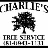 Charlie's Tree Service