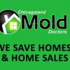 Chicagoland Mold Doctors