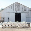 Chico Concrete Contruction