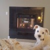 Bill Placer's Hearth & Home