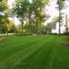 Cincinnati Landscaping