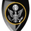 Critical Intervention Services