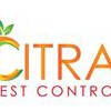 Citra Pest Control
