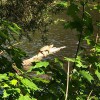 Central Kentucky Wildlife Refuge