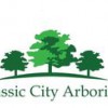 Classic City Arborists
