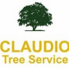 Claudio Tree Work & Landscaping
