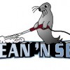Clean 'N Seal