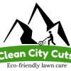 Clean City Cuts