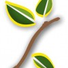 Clean Cut Landscape Management