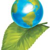 Clean Green Restoration