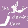 Cleaning Fairy