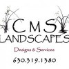 CMS Landscapes