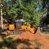 Coleman Stump Removal