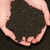 Collins Compost
