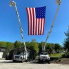 Collins Tree & Stump Service