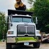 Collins Tree Care & Removal