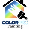 Color Pro Painting