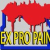 Comex Pro Painting