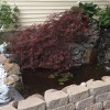 Complete Landscaping