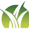 Complete Synthetic Turf