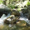 Confluence Restoration