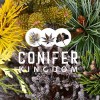 Conifer Kingdom & Rare Tree Nursery