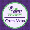Conroy's Flowers