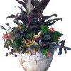 Container Creations