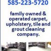 Contemporary Carpet Cleaning